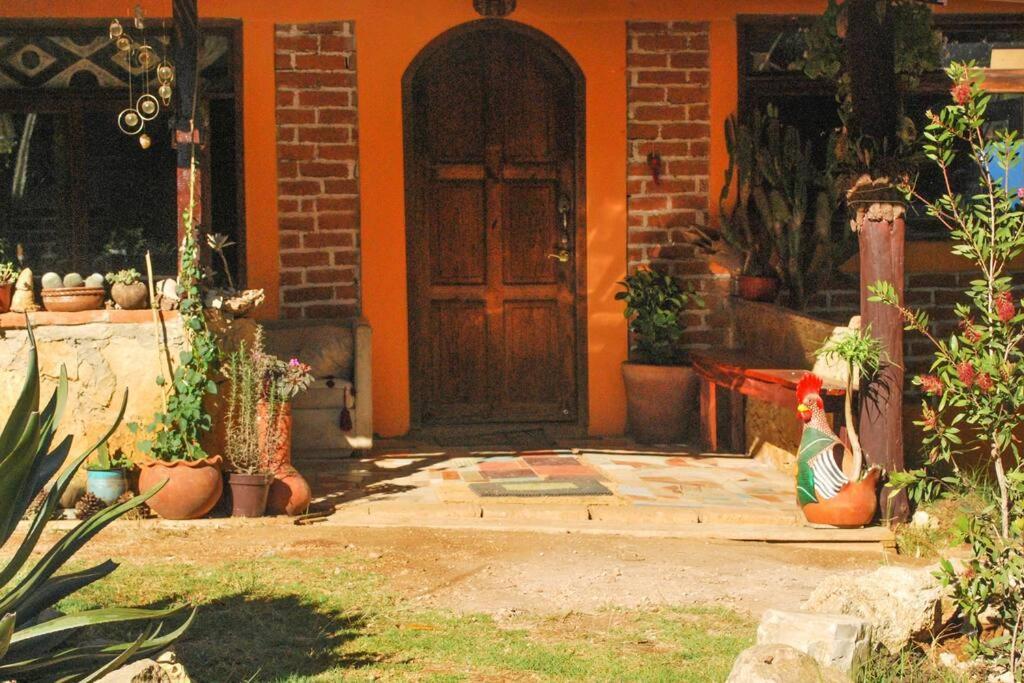 Hostal Casa 4 Estaciones, Coliving & Nature Сан-Кристобаль-де-Ла-Касас Экстерьер фото