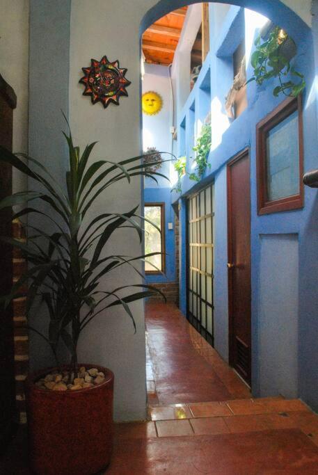 Hostal Casa 4 Estaciones, Coliving & Nature Сан-Кристобаль-де-Ла-Касас Экстерьер фото